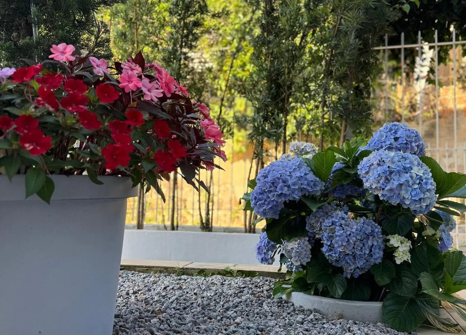 Suite Capoeiras Com Tv, Ar Quente-Frio E Sacada Em Casa Com Jardim